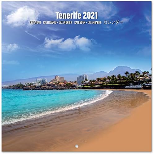 Grupo Erik Tenerife 2021 Calendário de parede 11,8 x 11,8 polegadas Calendar Planejador Familiar 2021
