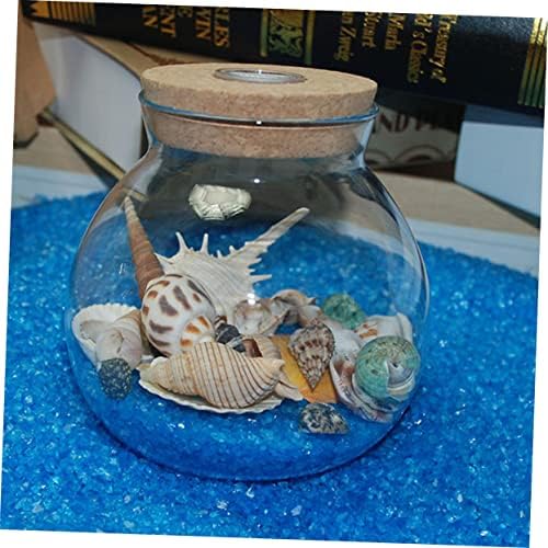 Sewacc 3 embalagens Fish Aquarium Acessórios de praia Ornamentos de peixes decoração de tanques minúsculas conchas para artesanato