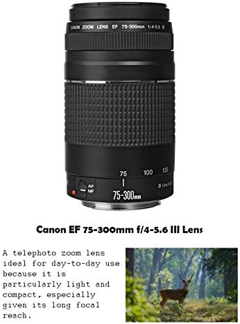 Canon EOS Rebel T7i DSLR Camera pacote com Canon EF-S 18-55mm f/4-5.6 é lente STM + 2pc Sandisk 32 GB Cartões de memória + kit de acessórios