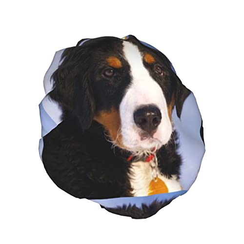 Bernese Mountain Dog Reutilable Propertável lavável ajustável adequado para mulheres todos os comprimentos do cabelo