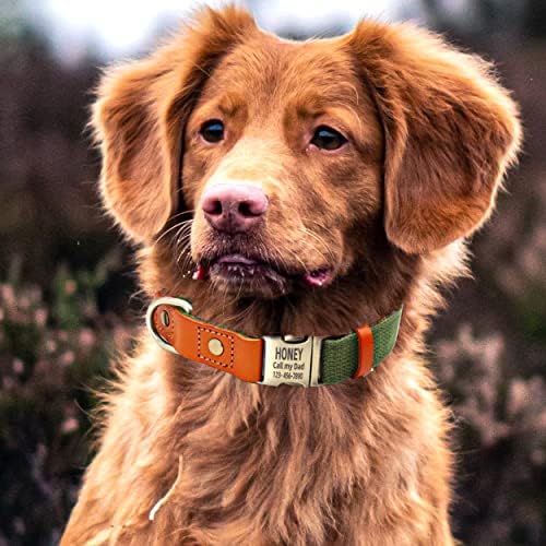 Youyixun personalizado colarinho de cachorro e coleira, fivela gravada com colarinho de cachorro personalizado com