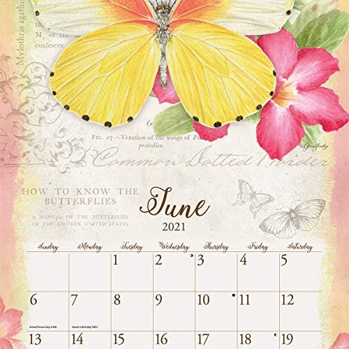 Butterflies Lang 2021 Calendário de parede