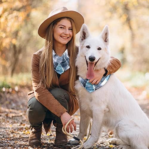 Um cavalo branco contra a noite do céu noturno Bandanas, 2 pacote de lenço de estimação lavável e lavável Triângulo