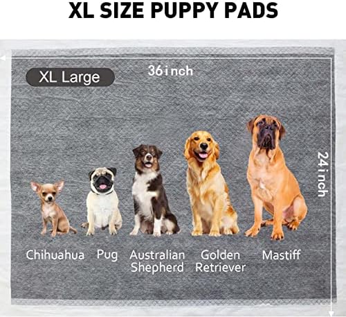 Almofadas de cachorro almofadas de treinamento descartáveis ​​de cachorro l ， Charcoal Puppy Pads Large 24 x 36, Super absorvente