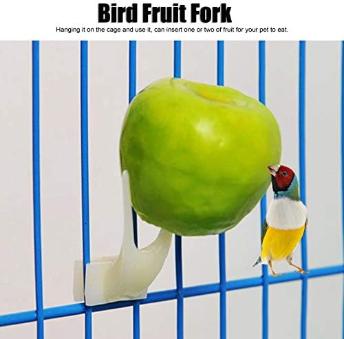 Nikou 20pcs Fruit Fork for Bird, Plástico Birds Alimentar Ferramenta de Ferramenta Acessório