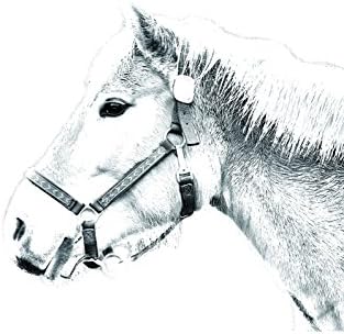Art Dog Ltd. Haflinger, lápide oval de azulejo de cerâmica com uma imagem de um cavalo