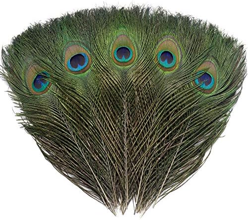 120 PCs Real Paving Eye Feathers 10-12 polegadas para artesanato DIY, decorações de casamento e férias