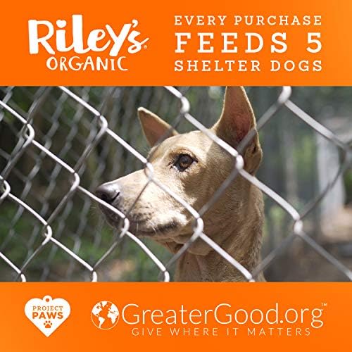Riley's Organics - Manteiga de amendoim e melaço - 5 oz pequenos biscoitos - guloseimas de cães orgânicos de grau humano - bolsa