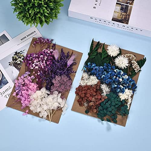 Dalaran 6 Pack Pressed Flores secas Múltiplas flores prensadas coloridas para jóias de resina artesanal Fazendo arte
