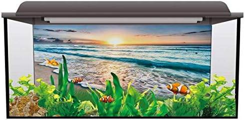 MONRODA OCEIA OCEIRA ANTIMENTO AQUARIUM, Durável Penão de Aquário Durável Pvc Aquário Poster Postro Fundos de Postro Decorativo 12.4x24.4inch,