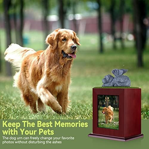 NewDream Pet Cremation Urns Urns Pet Urns for Grand Dogs Ashes Dog Ashes Urn, Box for Dog Ashes, Pet Ashes Caixa, caixa de