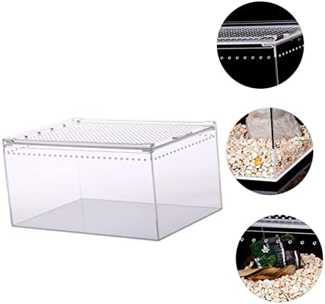 Balacoo 2pcs Box acrílico Rastreador Caixa de estimação Terrarium répteis Terrarium para répteis Caixas de alimentação
