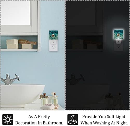 Rodailycay sensor de luz leve Urso de luz na natureza, 2 pacotes de luzes noturnas se conectam na parede, luz noturna branca quente para viveiro, quarto, banheiro, corredor, quarto infantil, escadas