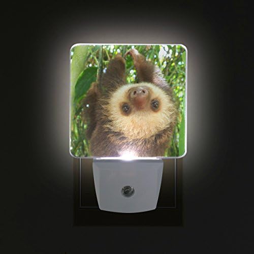 Naanle Conjunto de 2 Baby Sleth penduring Tree Auto Sensor Led Dusk To Dawn Night Light Plug in Indoor for Adults