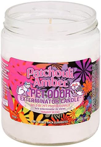 Produtos de estimação especializados Amber Patchouli Pet odor Exterminador 13 onça jar vela