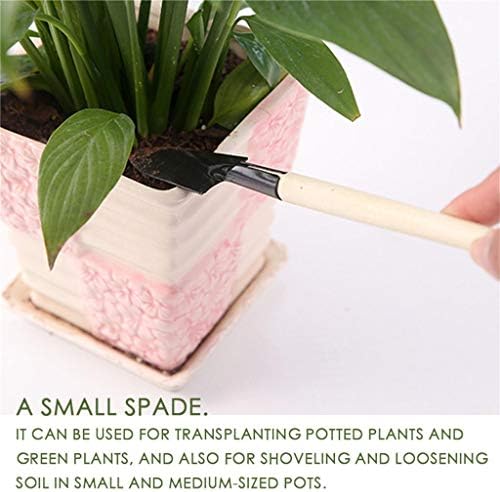 Becoler para ferramenta multifuncional manual de pequenos cuidados de plantas de plantas internas transplante de jardinagem gramado