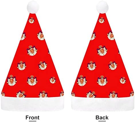 Counhe os braços da Noruega Funnic Christmas Hat chapéu Papai Noel Chapé