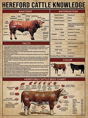 Hereford Cattle Knowledge Metal Tin Sign Hereford Cattle Beef Beef Retro Tin Sign Country Farmhouse Room Lar