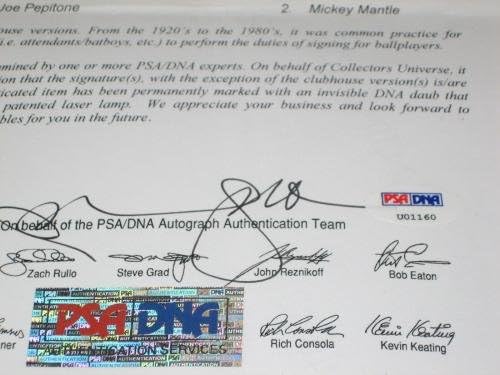 1963 Os Yankees Al Champs Team assinou autógrafos Cronin Ball PSA/DNA Maris + - bolas de beisebol autografadas