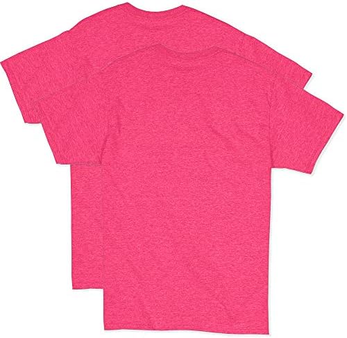 Hanes Men 2 Pack x Temp Performance T-shirt