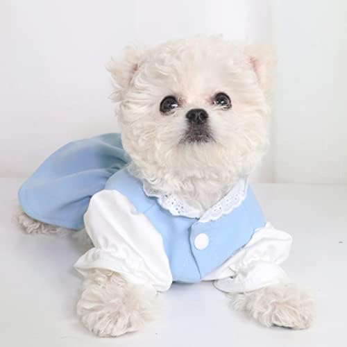 Tengzhi vestido de cachorro pequeno para cenoura fofa bolso azul renda princesa cachorro vestido saia outono inverno de férias