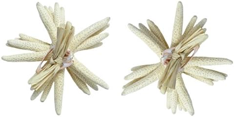 U.S. Shell 05156 Finger Starfish, conjunto de 6, 4 a 5, branco