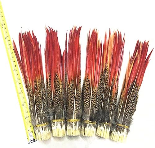 ZAMIHALAA FEANT GOLDEN RED DIPS PENAS LOLHAS 5 ~ 30CM/2-12 PILH PENHAS DE ESPADA RED RED para artesanato Jóias Fazendo plumas de