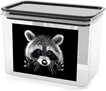 Fern Raccoon Storage Box Plastic Food Organizer Recursters com tampa para cozinha