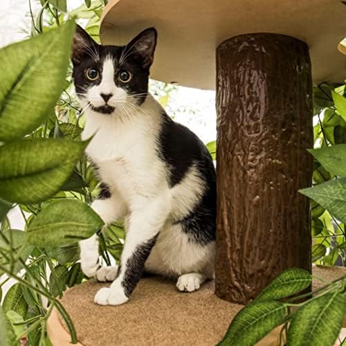 ON2 Pets Cat Tree com folhas feitas nos EUA, árvore de atividades de gatos e gatos, condomínio de gatos de vários níveis para gatos