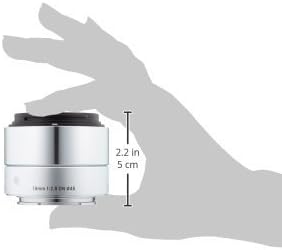 Sigma 19mm f2.8 ex dn art para Sony SE