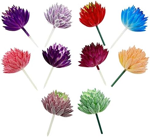 Cayway 10 PCS Plantas suculentas artificiais, coloridas suculentas artificiais de cores mistas para decoração de casa
