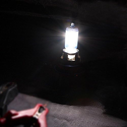 WTG H11 55W Super Xenon Halogen OEM Bulbos de farol