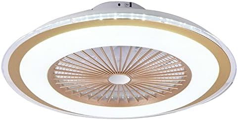 SDFDSSR Diâmetro Ventilador de teto de 60 cm com luzes fãs elétricas escondidas simples com luzes de controle remoto