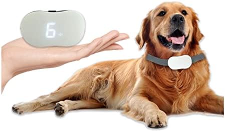Colar de treinamento de cães colarinho com bipe, vibração e modo microcorrente, colar de choque de cães recarregável e impermeável