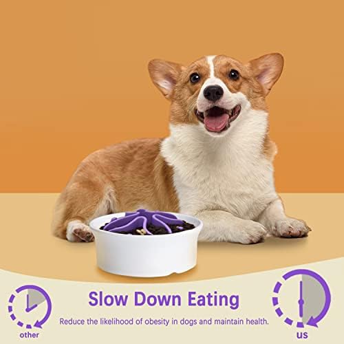 Silicone Slow Feeder Dog Bowls Inserir, inserção de alimentador lenta pxpig para tigela de cã