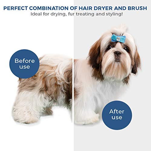 Secador de cabelo para animais de estimação | Voto portátil e silencioso 2 em 1 Pet Helfing Secador de cabelo Soprador