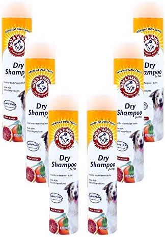 Arm & Hammer for Pets Aerosol Shampoo seco para cães | Spray de shampoo sem água para todos os cães e filhotes | Cheiro de laranja de sangue cítrico, spray de shampoo de cachorro seco de 5 onças