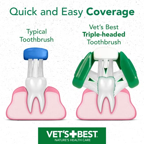 Melhor kit dental de cachorro do veterinário - escova de dentes e pasta de dente para filhotes - kit de escovação de dentes
