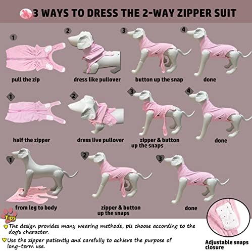 Sychien Dog Recovery Suit Large para Spay Feminino, Recuperação Pós -Cirurgia Masculina Comprafunda de Algodão penteada, rosa l