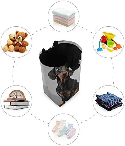 Yyzzh fofo cachorro Dachshund cachorro em cinza grande lavanderia bolsa de cesta de cesta de cesta de compras colapsível comester