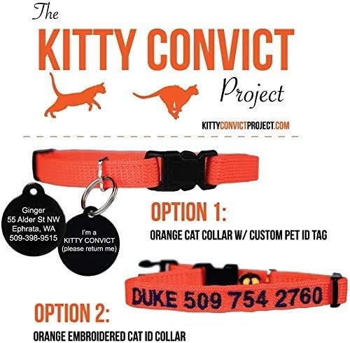 Kitty condenado colares de identificação de gato personalizados