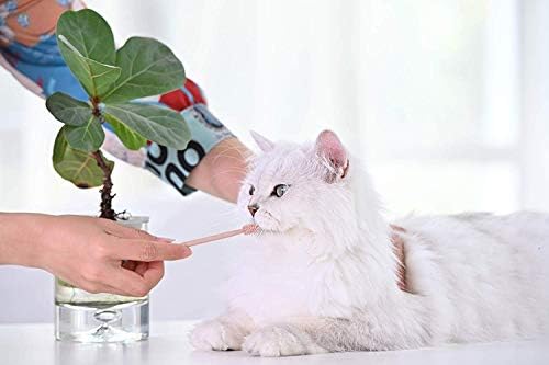 Escova de dentes de gato macio com cabeça de 360 ​​graus | Limpeza de dentes de estimação seguros, eficazes e profundos | Afaste o mau hálito | Silicone de qualidade alimentar