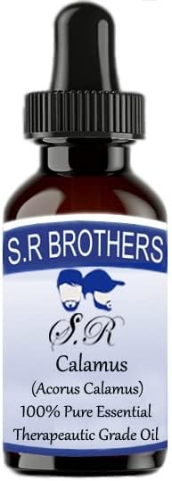 S.R Brothers Calamus puro e natural de grau de grau essencial de grau essencial com conta -gotas 50ml