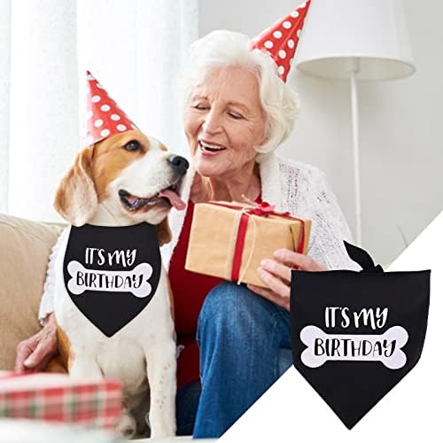 Cachorro Triângulo Triângulo Pet Birthday Towel Dog Birthday Triangle Follaria Gollares de cachorro gravado