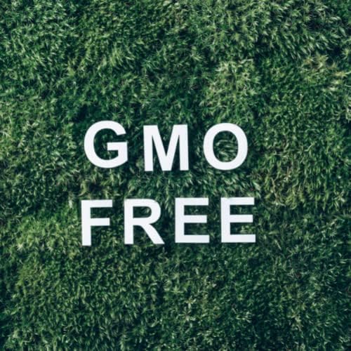 Momentos místicos | Organic Litsea Cubeba Óleo Essencial 30ml - Óleo Puro e Natural para Difusores, Aromaterapia e Massagem Mistura VEGAN GMO Free