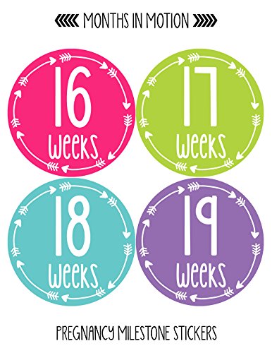 Meses em movimento Gravidez semanalmente adesivos de crescimento da barriga - semana a semana grávida esperando um suporte