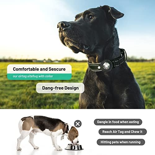 Colarinho de cachorro com código QR Código Pet Tag Smart Reflexivo à prova d'água Ajustável Com o suporte de caixa de ar-de-ar Scan QR Receba email de alerta de localização instantânea para animais de estimação