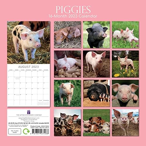2023 calendário de parede quadrada, porcos, tema de animais de 16 meses com 180 adesivos de lembrete