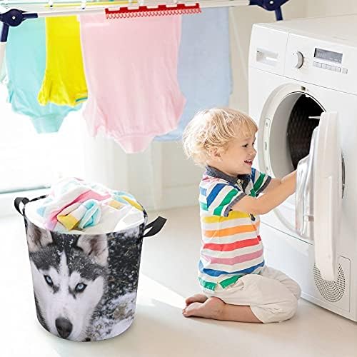 Cesta de lavanderia de Foduoduo cesto de cachorro husky cão cesto de roupa com alças cesto cesto de roupas sujas para