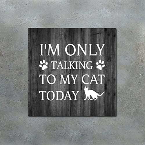 Placa de madeira com dizendo que estou apenas conversando com meu gato hoje placas de madeira decorativas placas inspirador citação